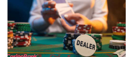 Pragmatic Play Encres Live Dealer Studio Deal with Stake